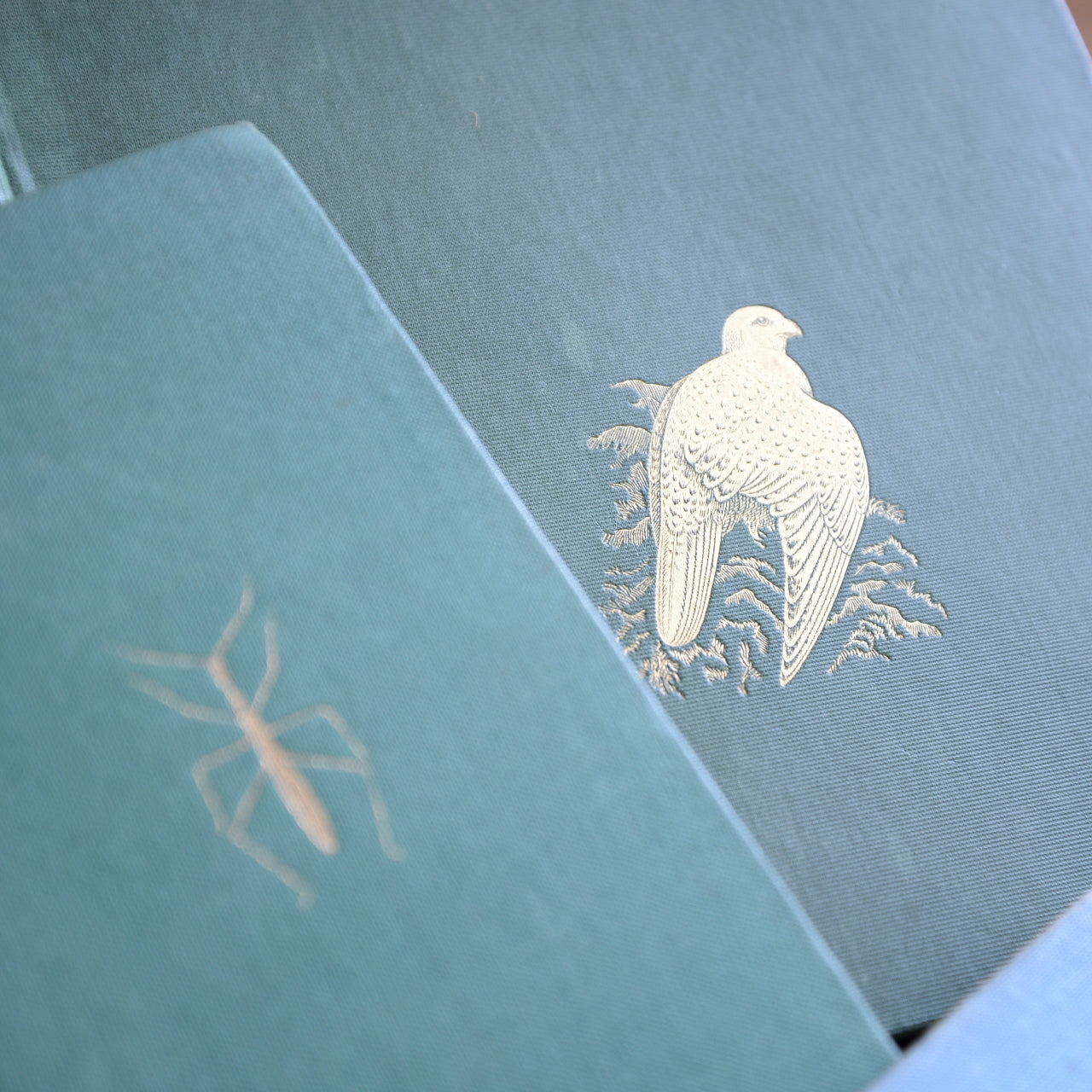 Collection of Vintage Books - Birds, Flowers and Butterflies