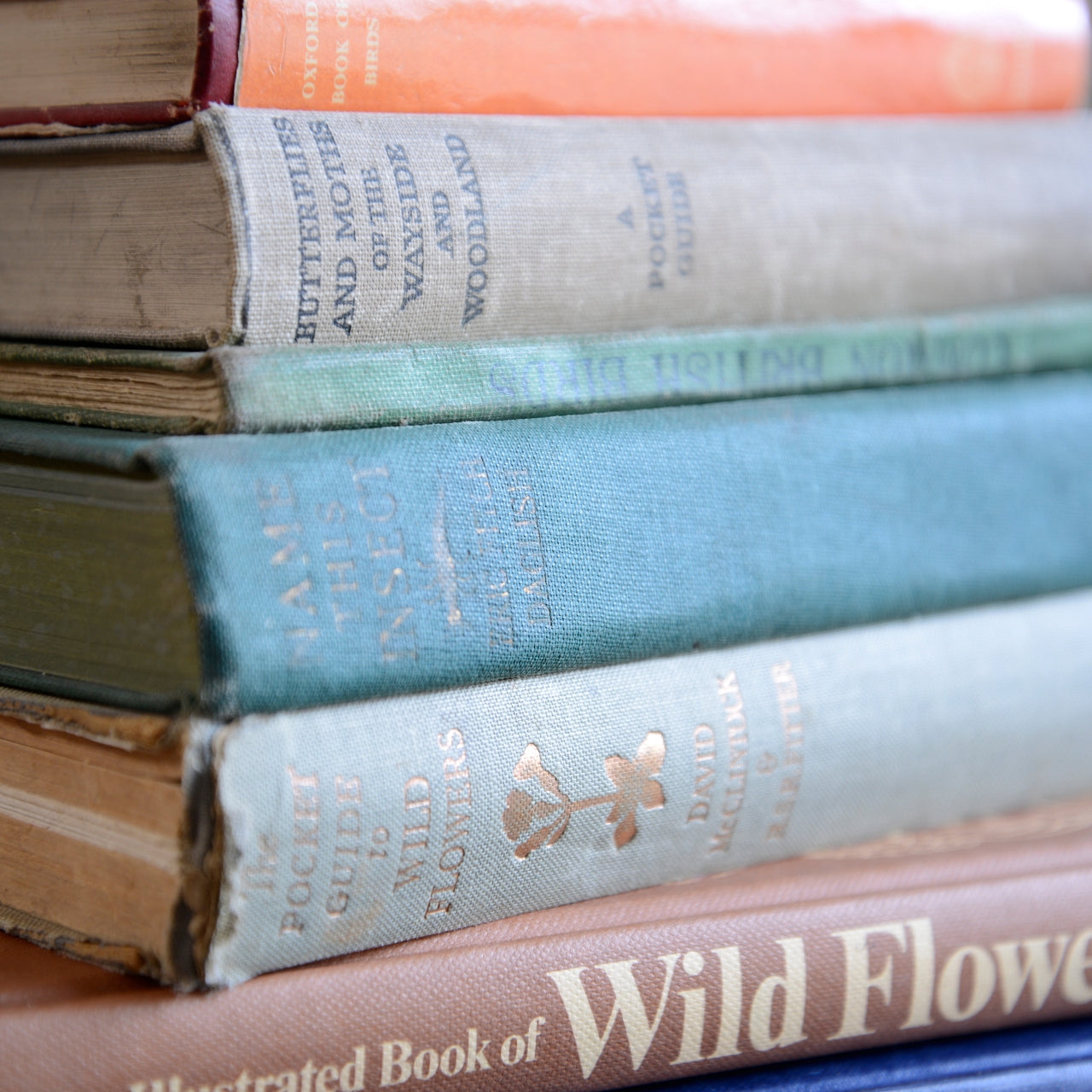 Collection of Vintage Books - Birds, Flowers and Butterflies