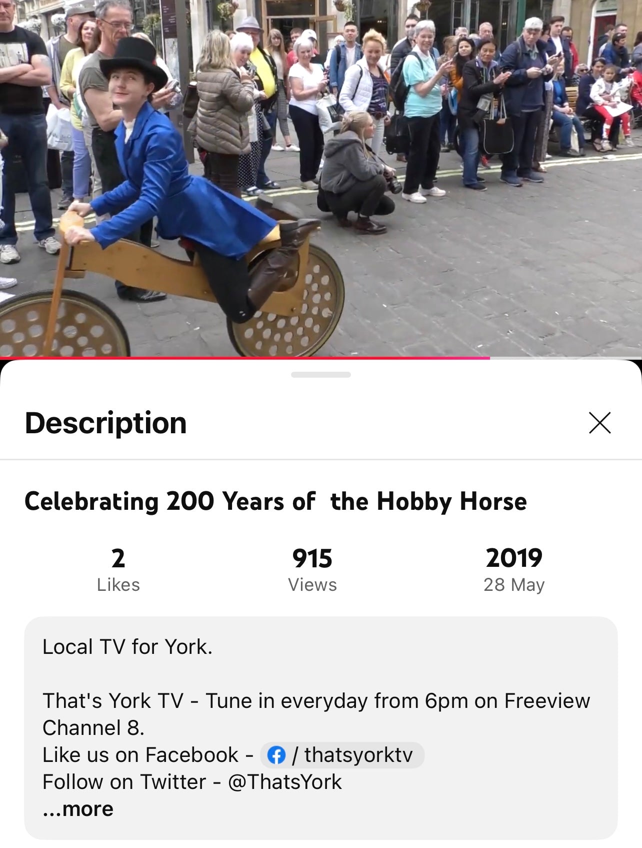 Bicentennial Replica Hobbyhorse