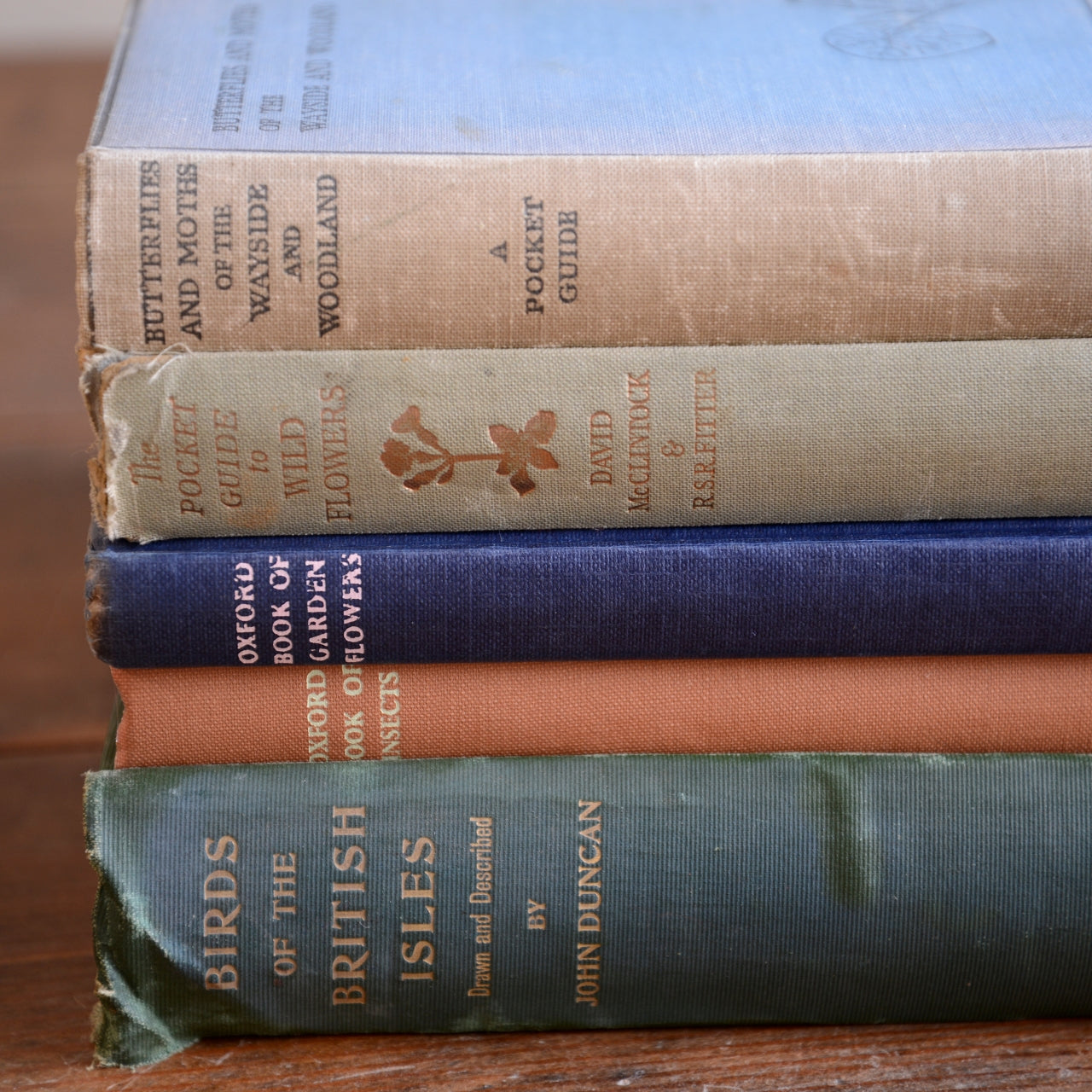 Collection of Vintage Books - Birds, Flowers and Butterflies