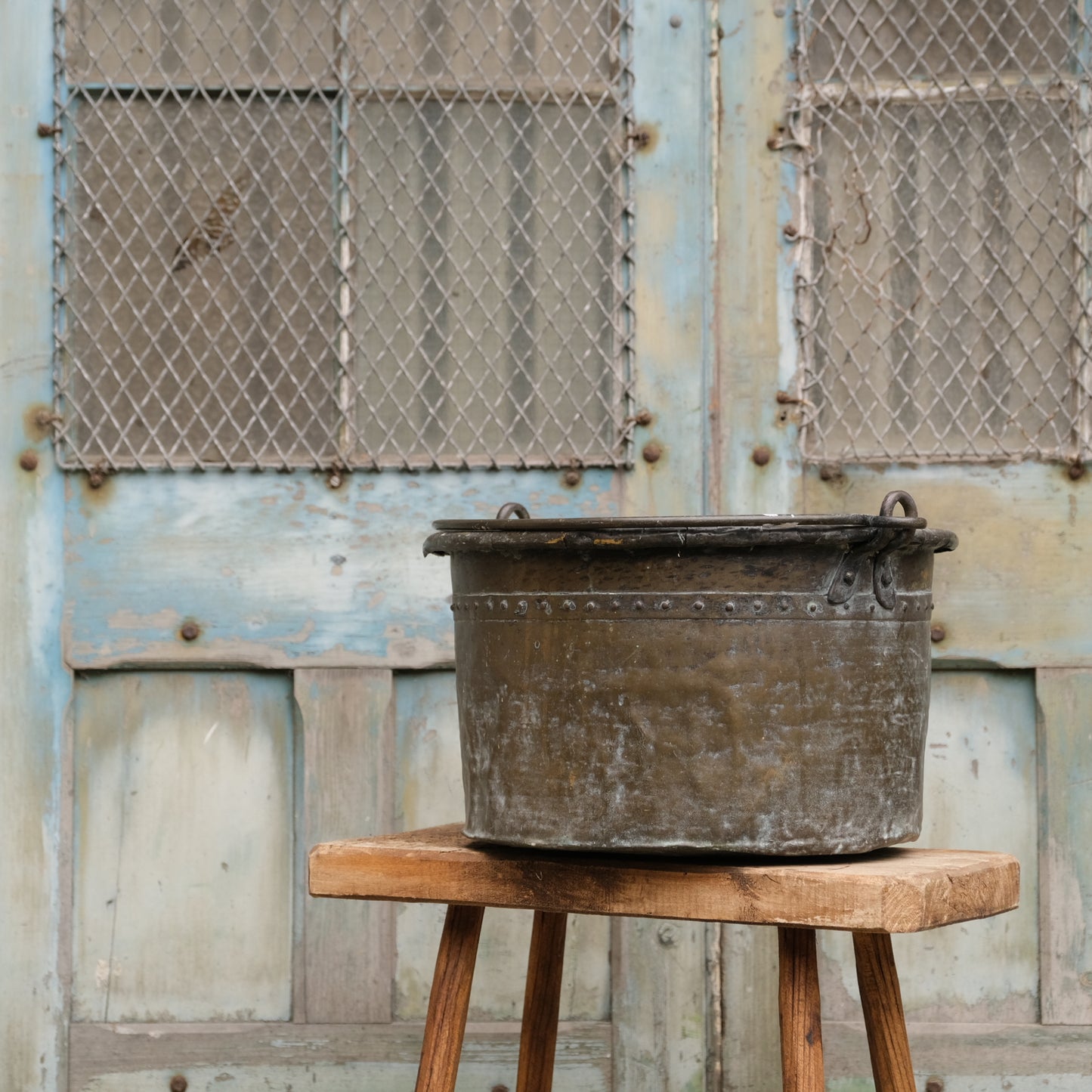 French Brass Bucket / Planter