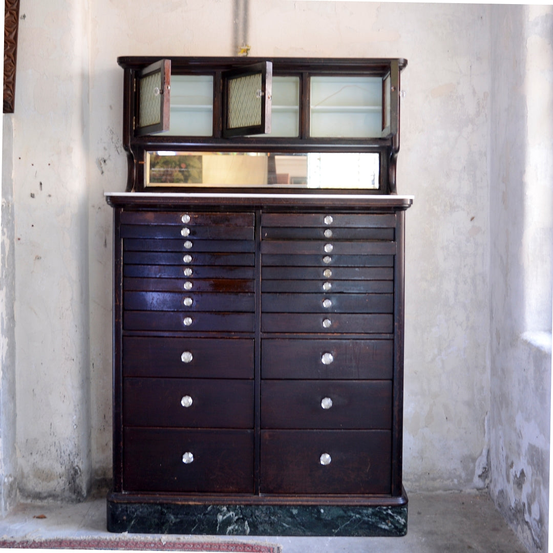 The American Cabinet Company Dental Cabinet - Model 120 in Eboninised Mahogany