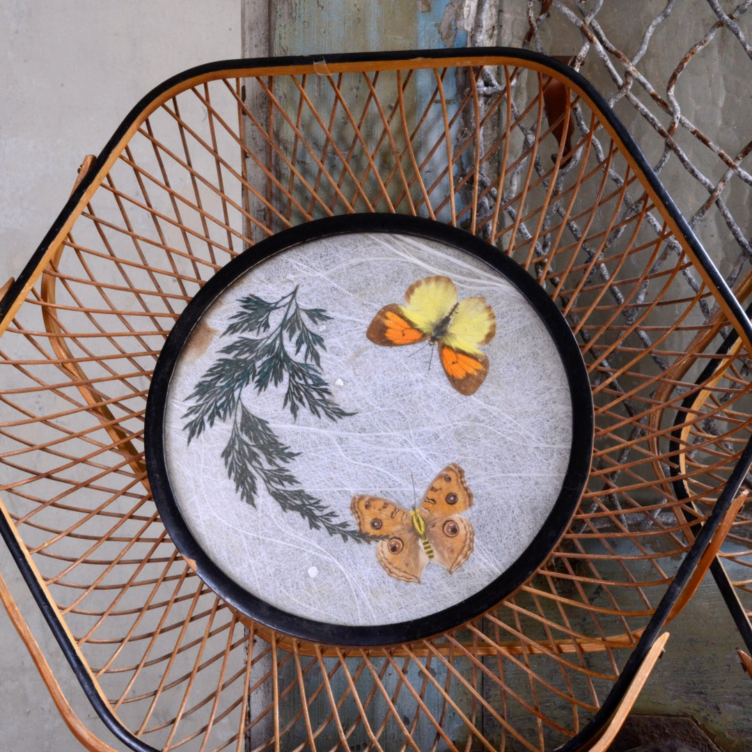 Pair Mid-Century Rattan baskets with Butterflies