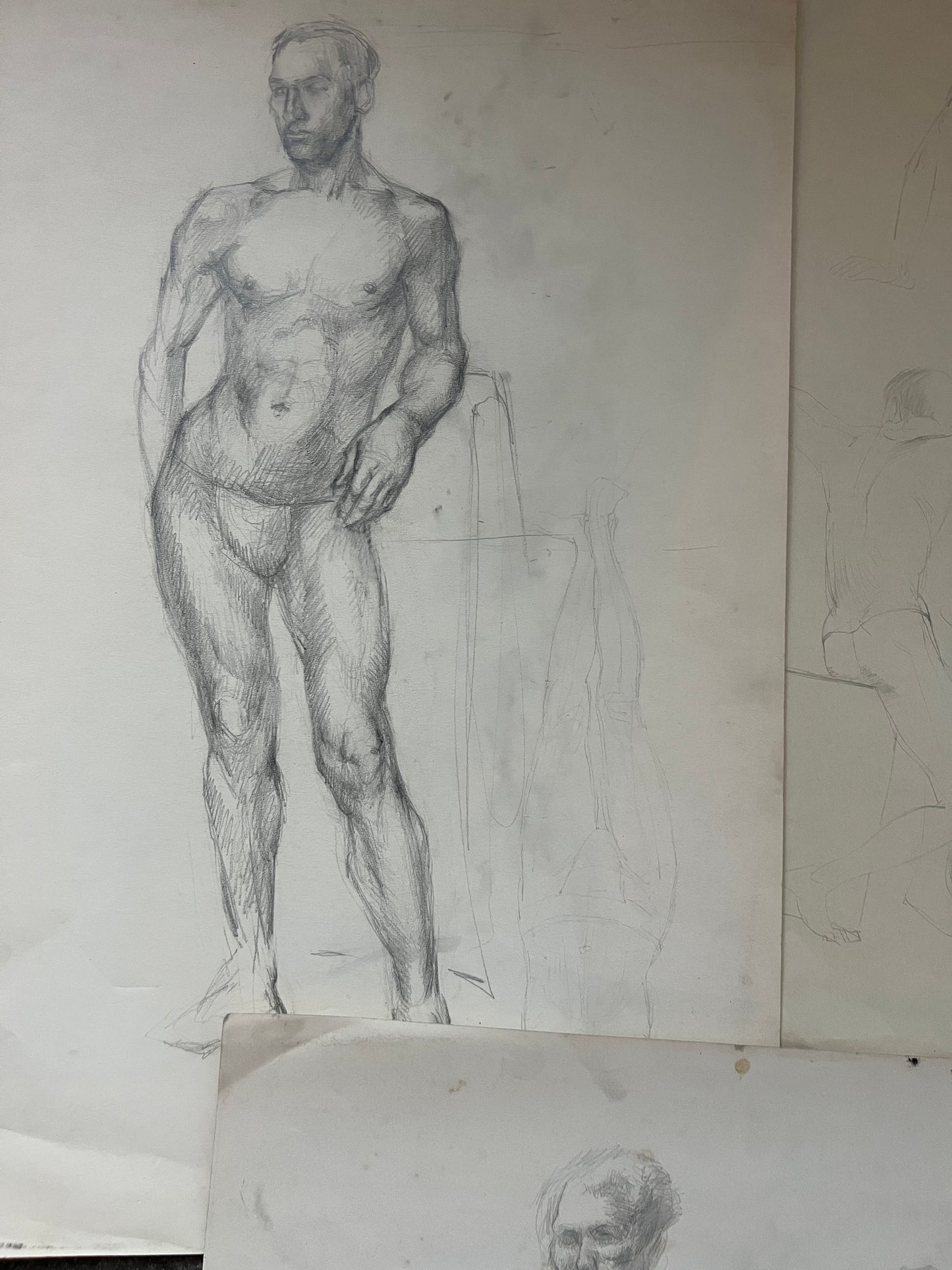 Collection of Male Life Studies | FREDA H. CLOUGH (English 1915-2008)