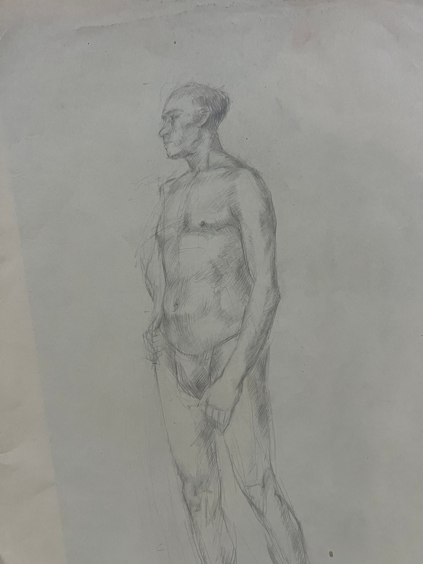 Collection of Male Life Studies | FREDA H. CLOUGH (English 1915-2008)