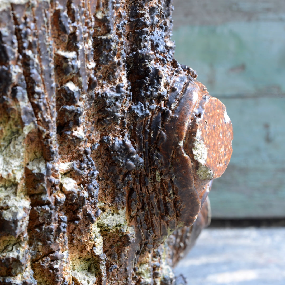 Faux Bois Simulated Bark & Trunk Planter