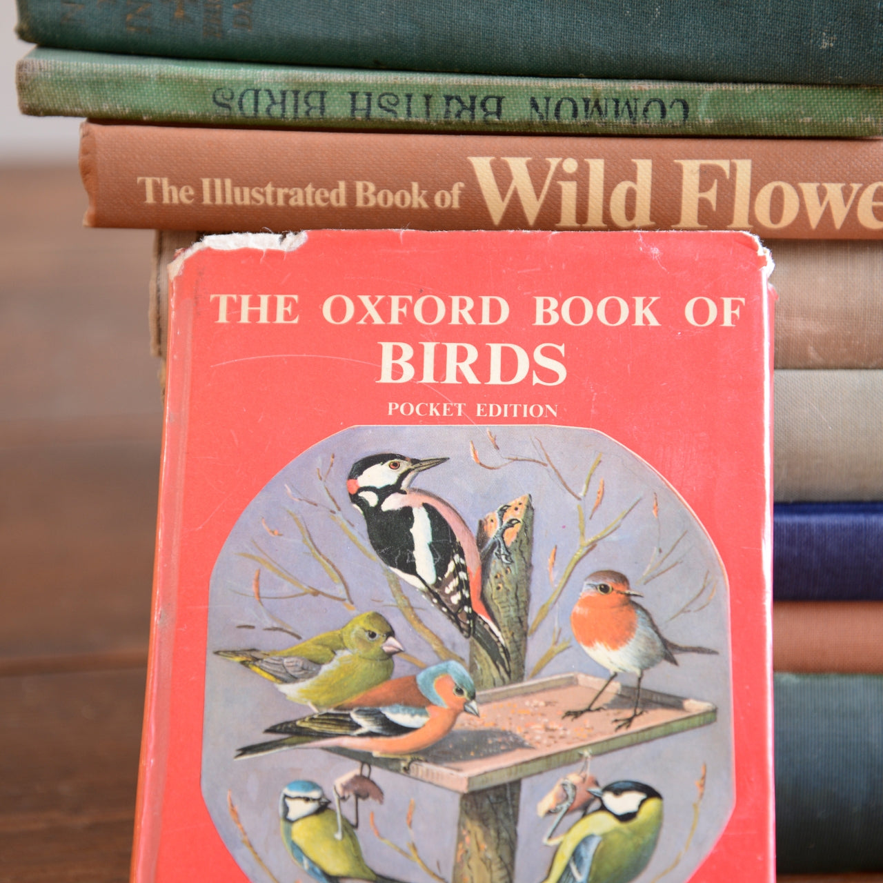 Collection of Vintage Books - Birds, Flowers and Butterflies