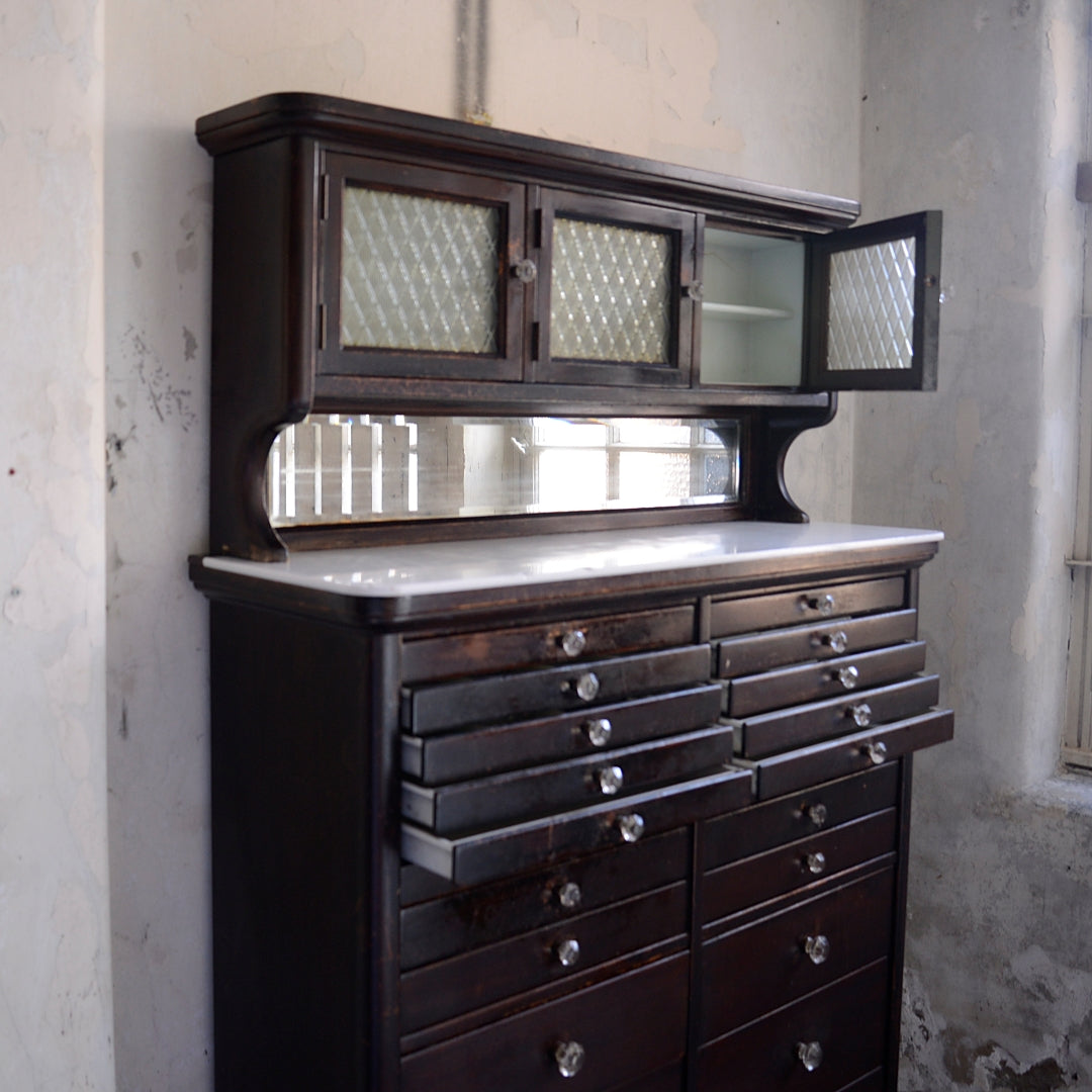 The American Cabinet Company Dental Cabinet - Model 120 in Eboninised Mahogany