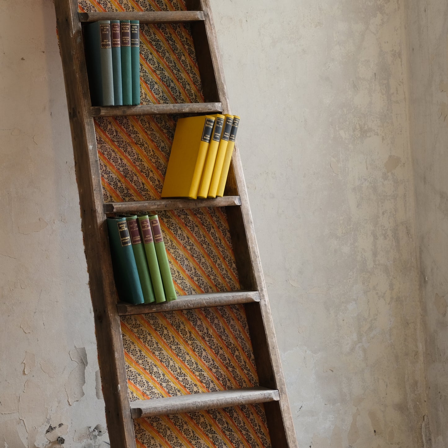 Antique Rustic Library Ladder / Bookshelves
