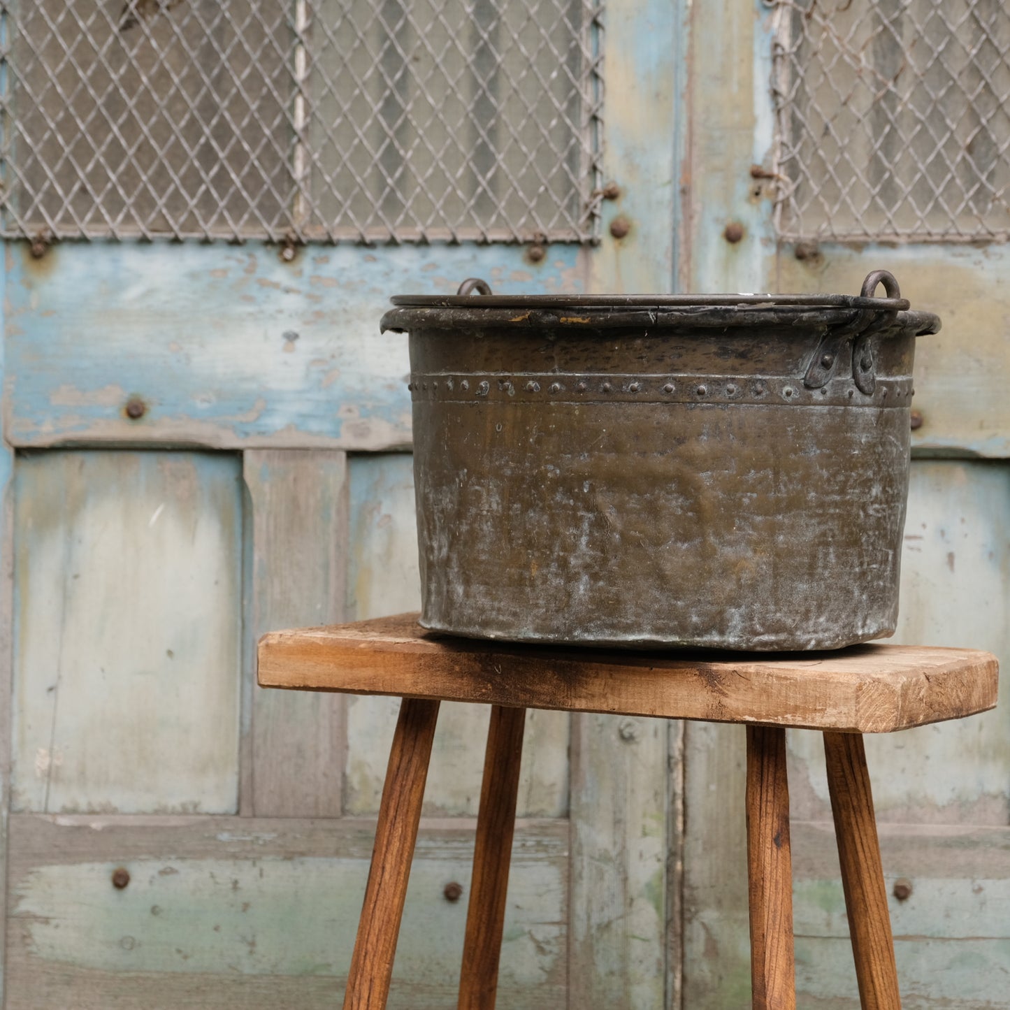 French Brass Bucket / Planter