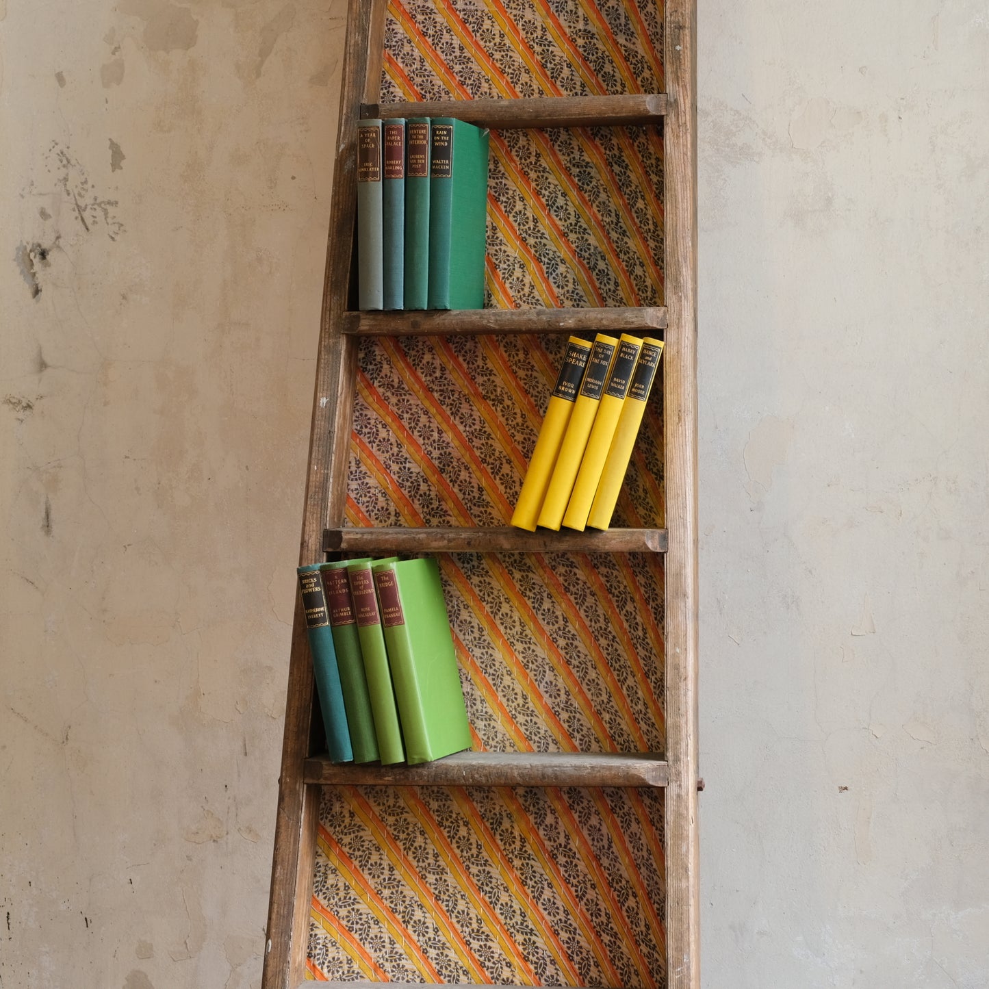 Antique Rustic Library Ladder / Bookshelves